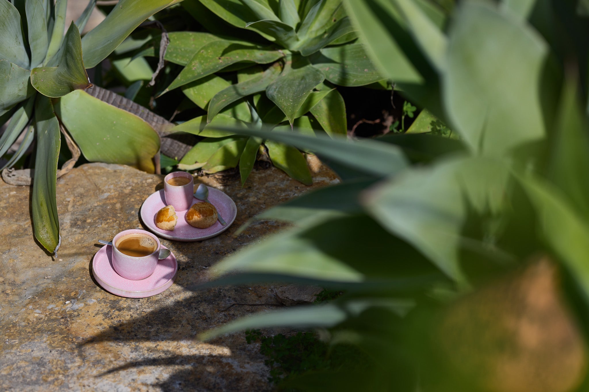 Zwei rosafarbene Keramikbecher mit Espresso auf runden rosa Untersetzern, dazu ein kleiner Teller mit aufgebrochenen Brioche-Brötchen und einem Silberlöffel – versteckt auf einer Natursteinoberfläche inmitten üppiger grüner Agaven- und Succulentenpflanzen im Sonnenlicht.