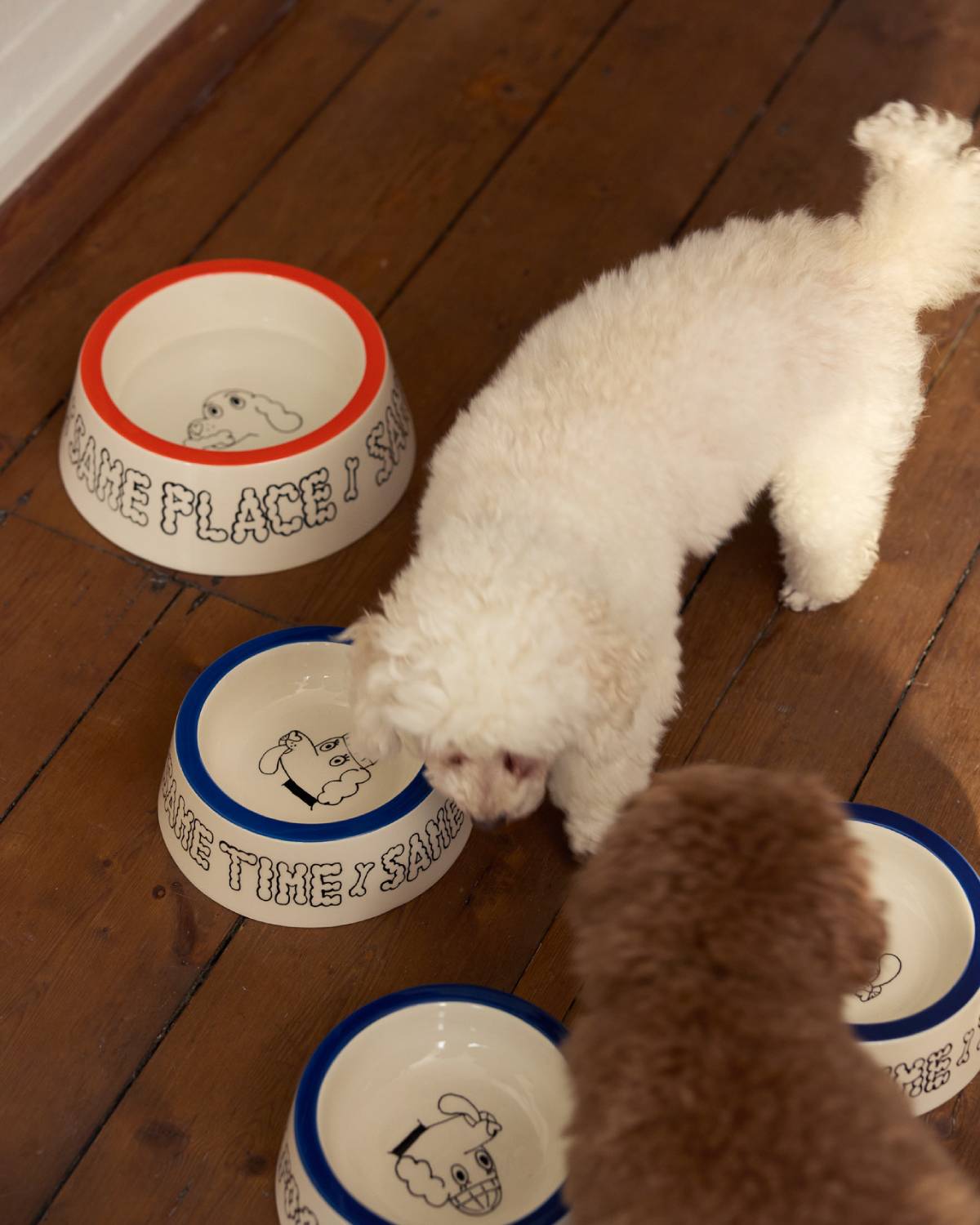 DOG BOWL SET - SMALL & LARGE | Jimu Kobayashi
