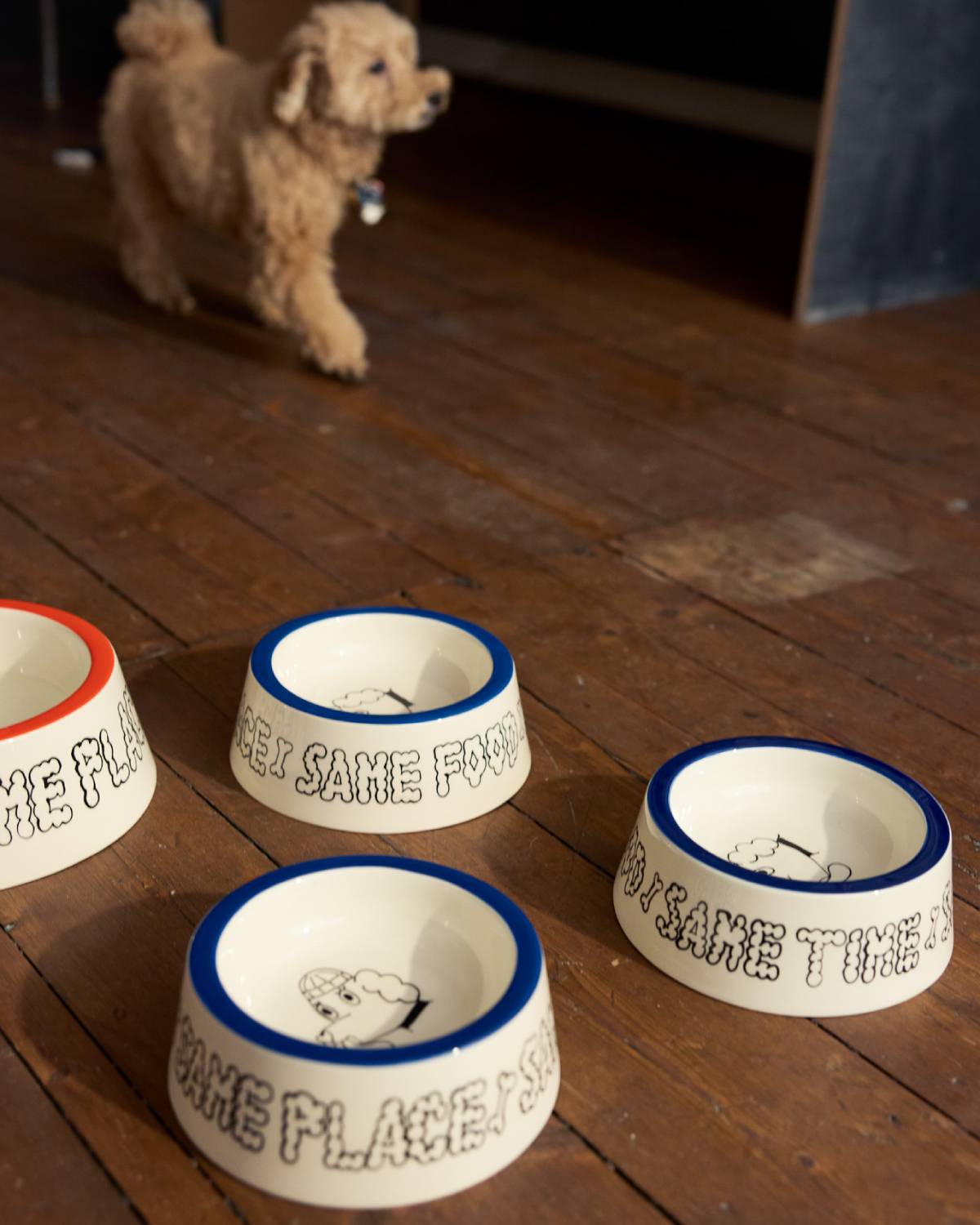SET DE GAMELLES POUR CHIENS - GRAND| Jimu Kobayashi