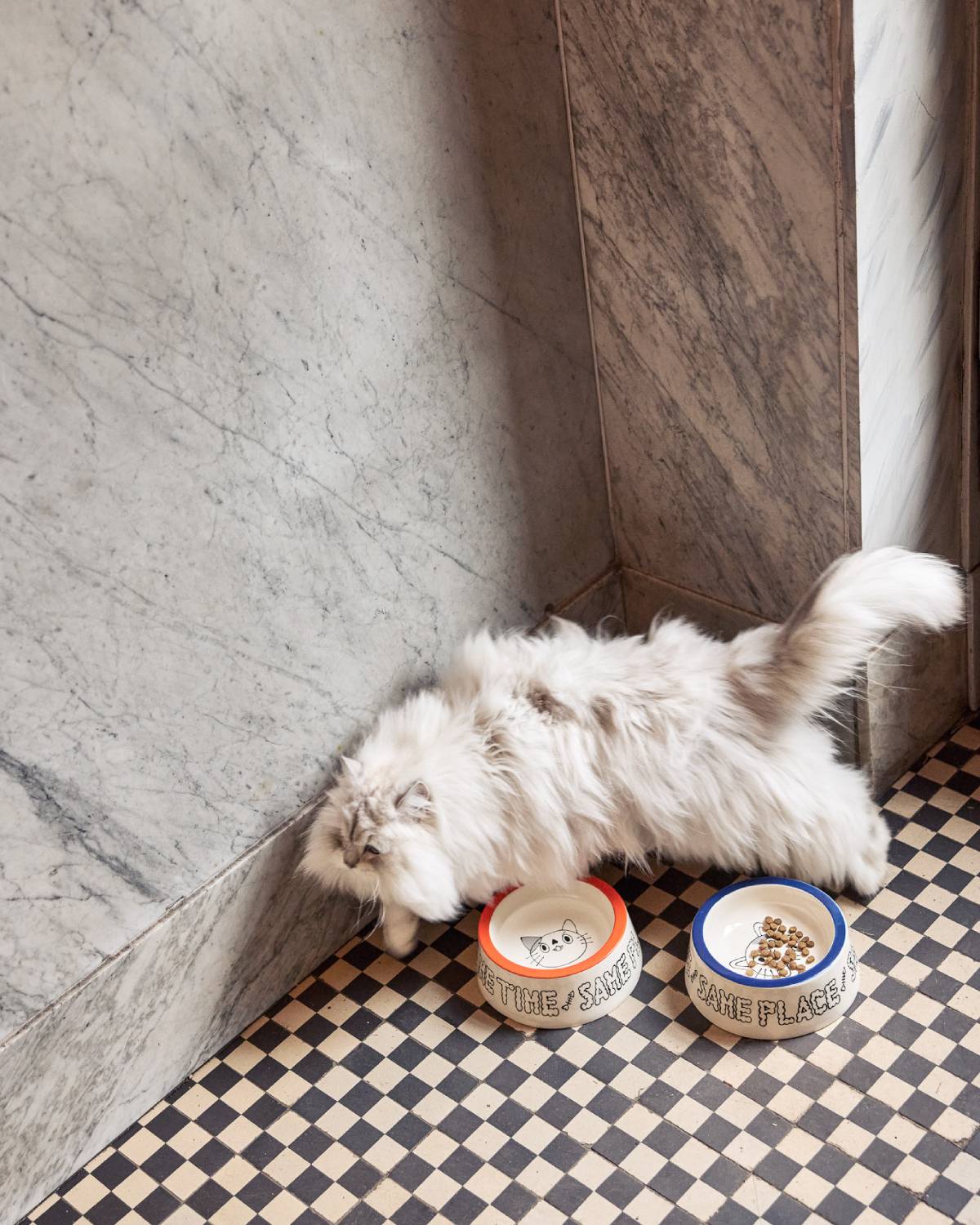 CAT BOWL – SMALL | ORANGE | Jimu Kobayashi