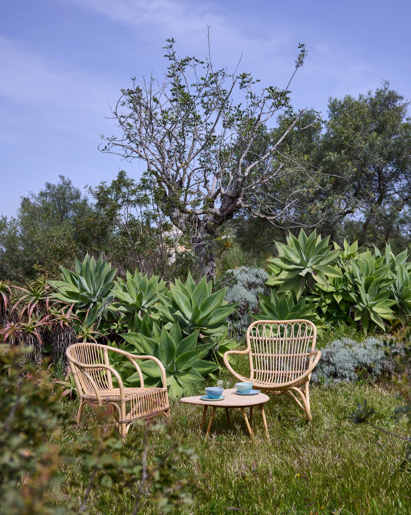 Zwei Rattansessel mit kleinem Tisch und blauen Keramikbechern in einem mediterranen Garten