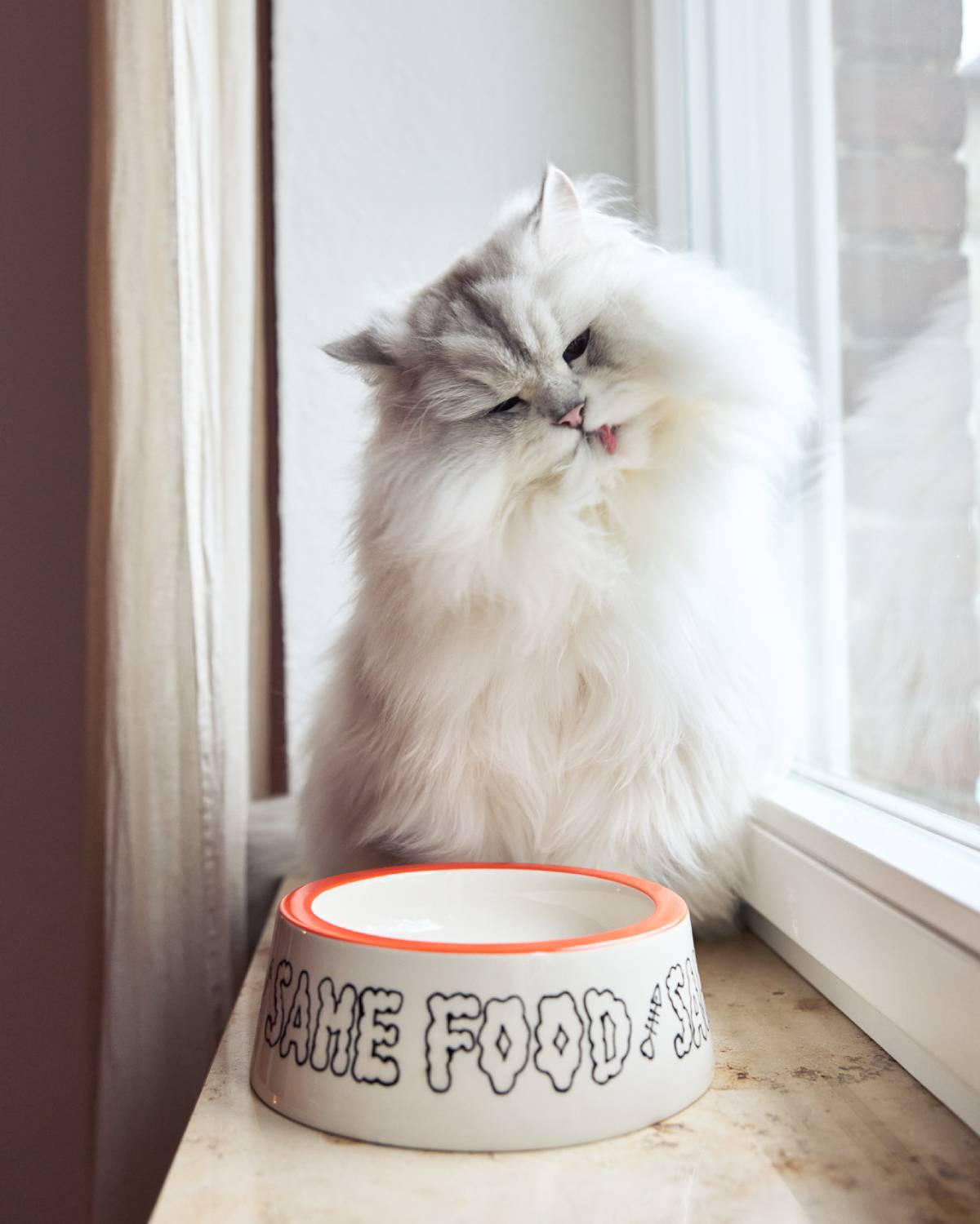 BOL POUR CHAT – PETIT | ORANGE | Jimu Kobayashi